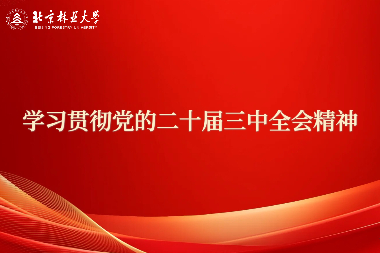             學習貫徹黨的二十屆三中全會精神
    